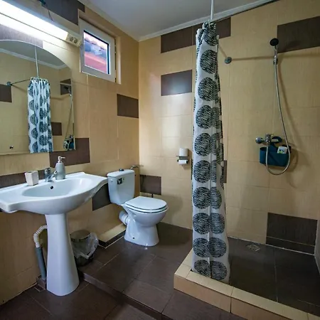 ゲストハウス Casa Dumitrescu 3*