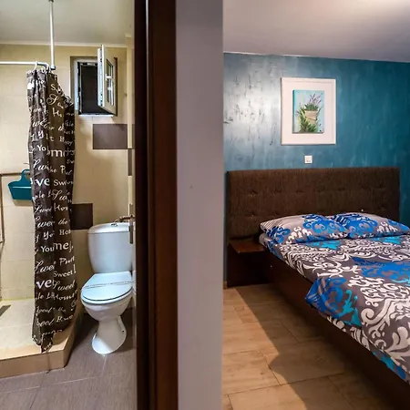 Guest house Casa Dumitrescu