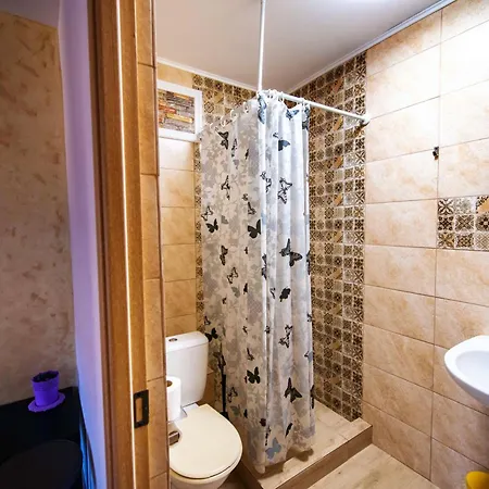 Guest house Casa Dumitrescu 3*